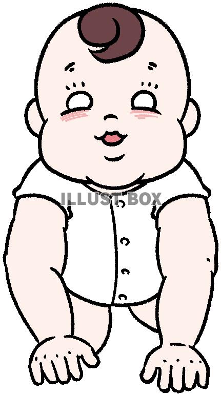 前向きのハイハイをするふくよかな赤ちゃん