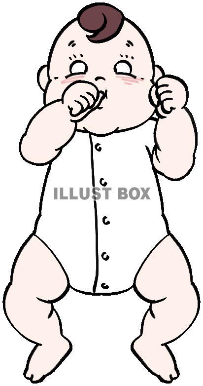 指しゃぶりをするふくよかな赤ちゃん