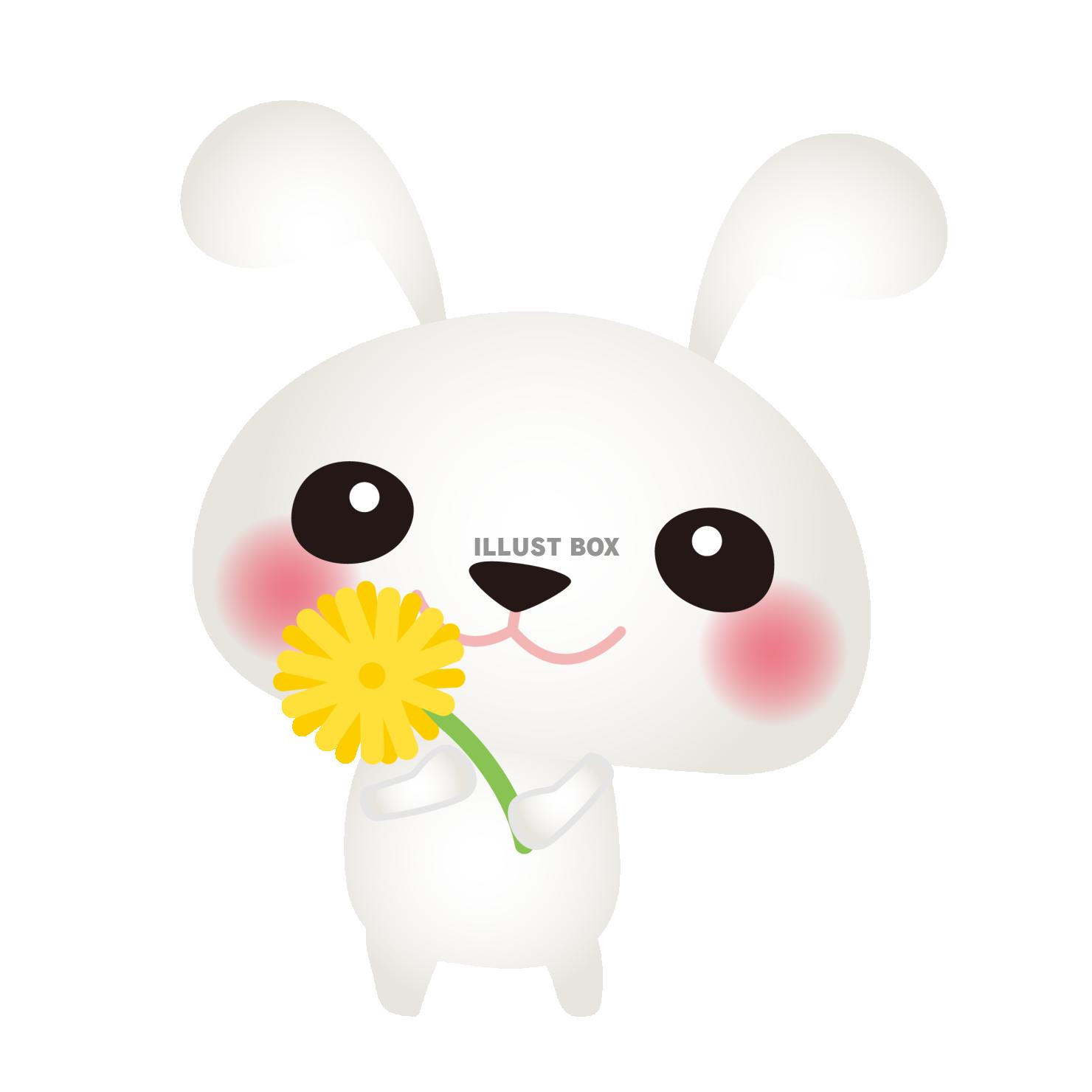 白うさぎ黄色の花