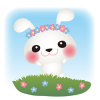 白うさぎお花畑