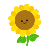 ひまわり