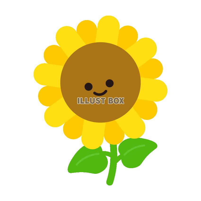 ひまわり