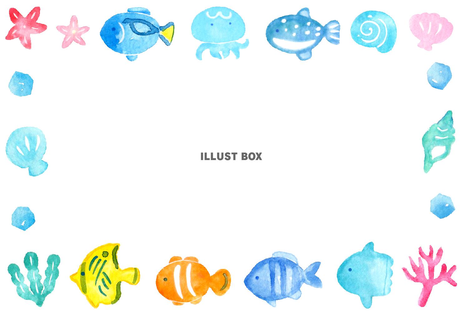 海の生き物のグリーティングカード