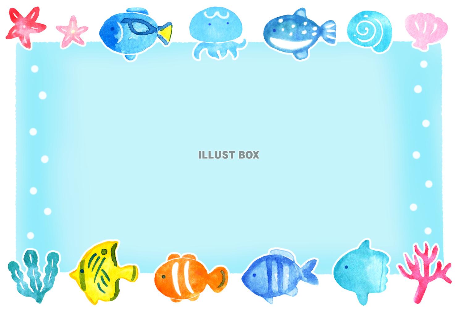 海の生き物のグリーティングカード２