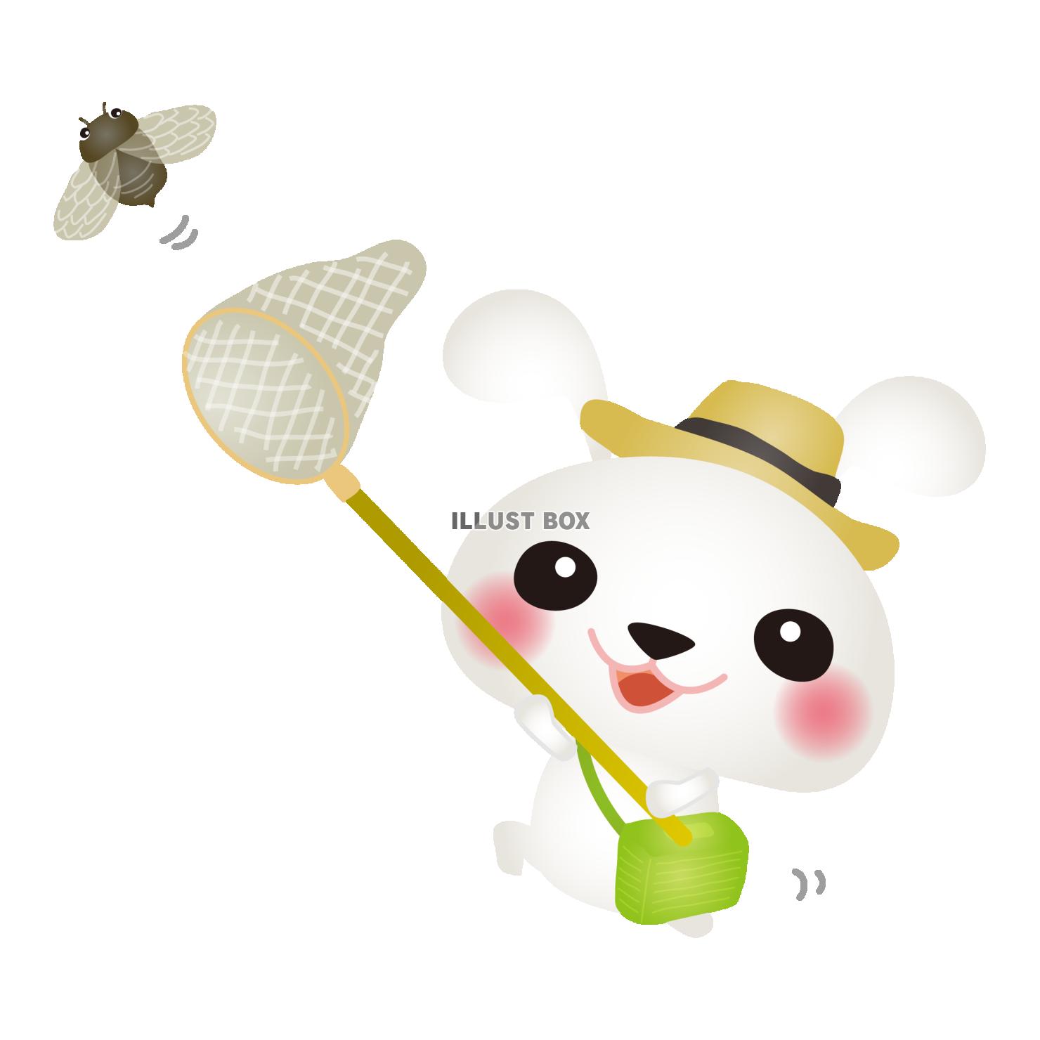白うさぎとセミ