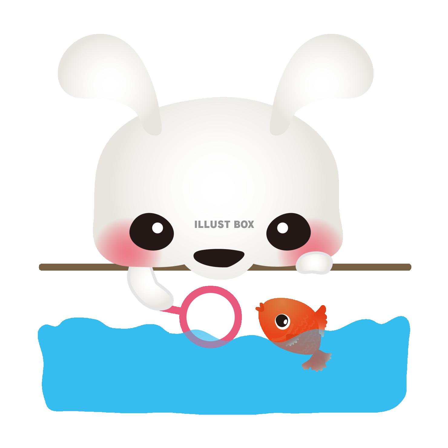 白うさぎ金魚01