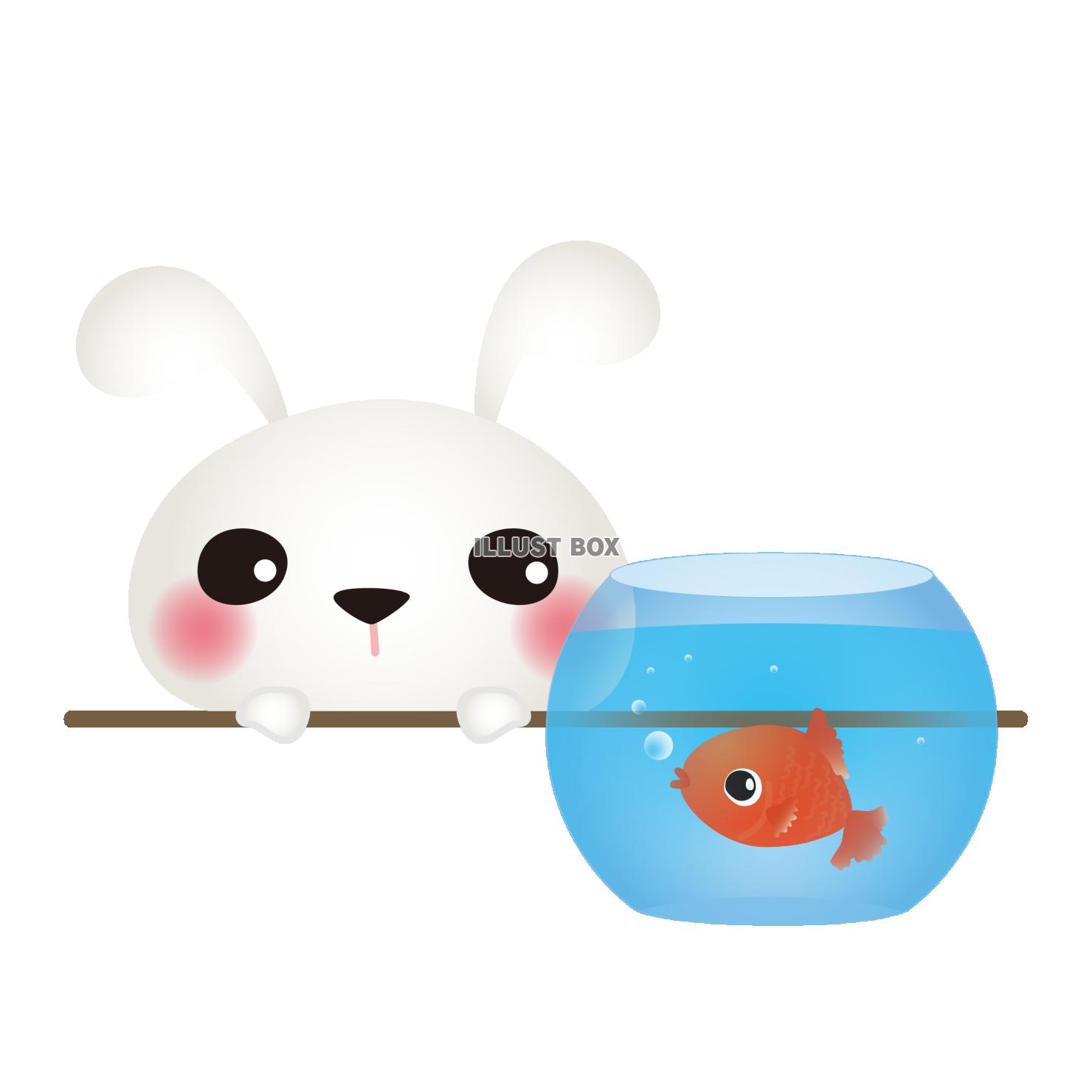うさぎと金魚03