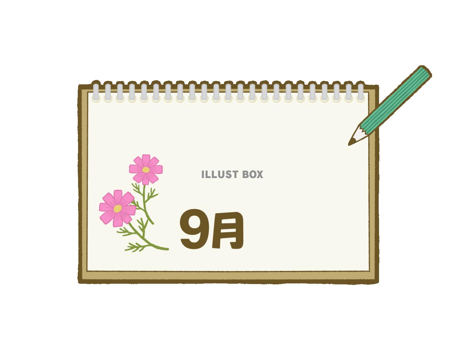 スケッチブックに描かれたコスモスと９月