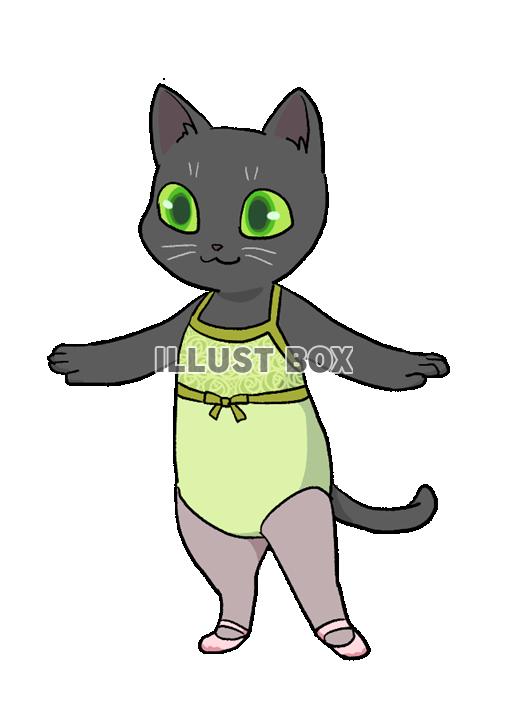 猫のバレエレッスン