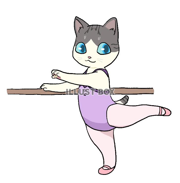 猫のバレエレッスン・バーレッスン