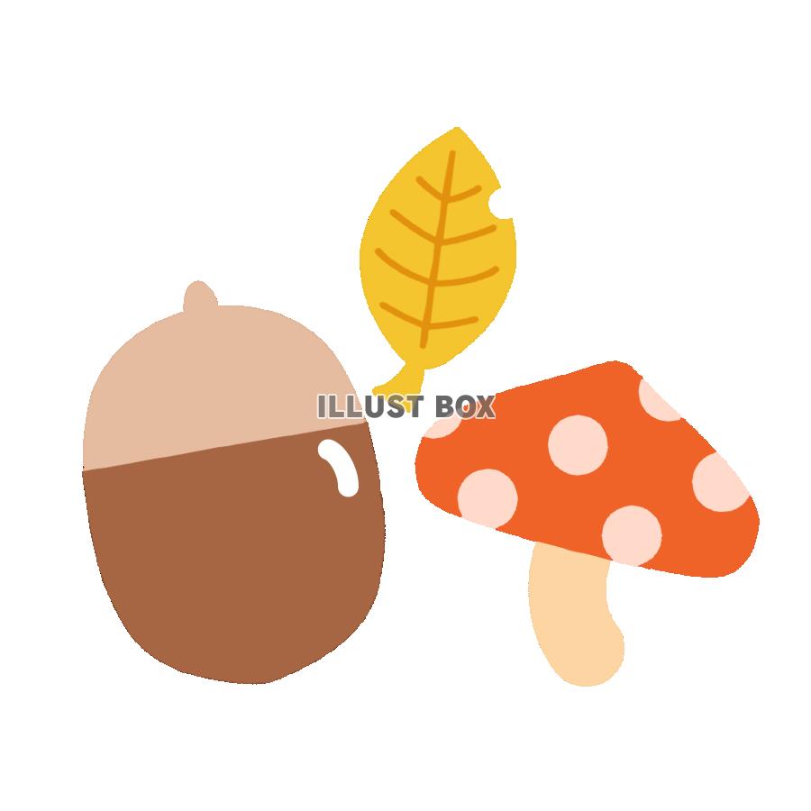どんぐりやきのこ　透過png