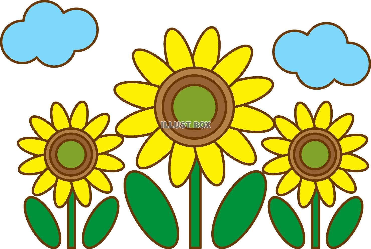 ひまわりの花