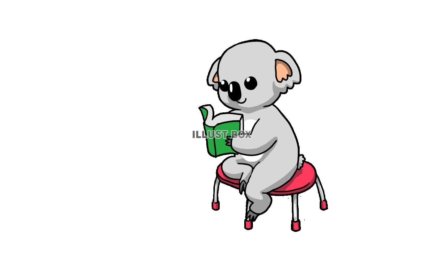 読書するコアラ