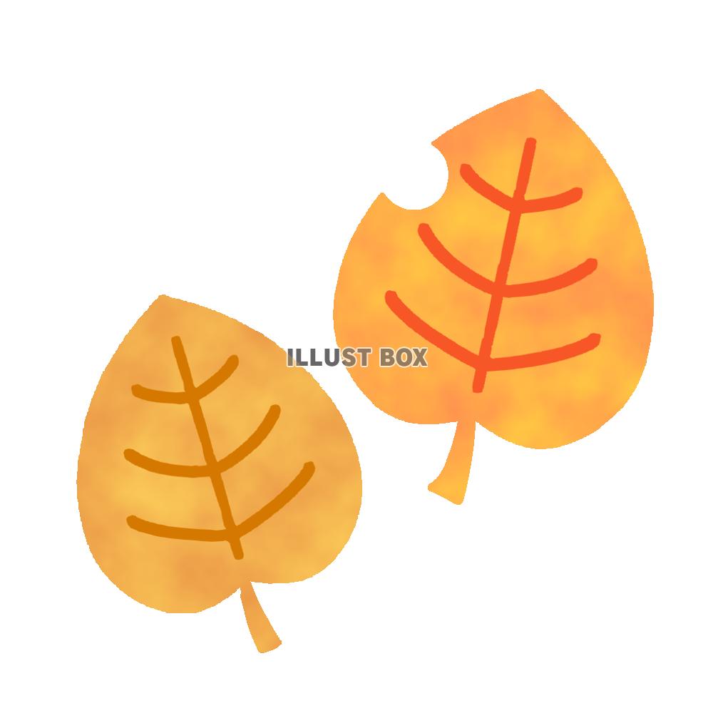 枯葉素材　透過png