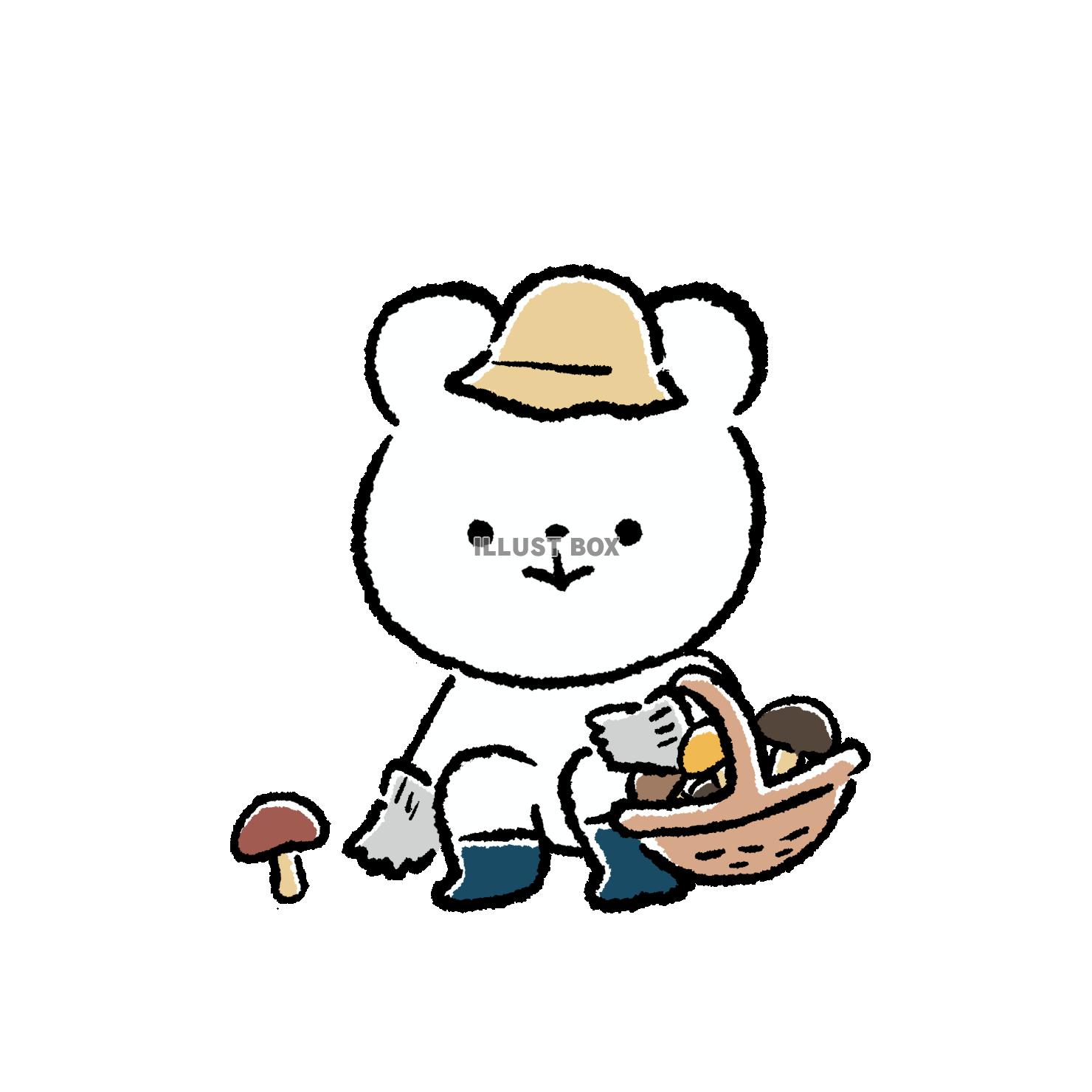 きのこをとるくま