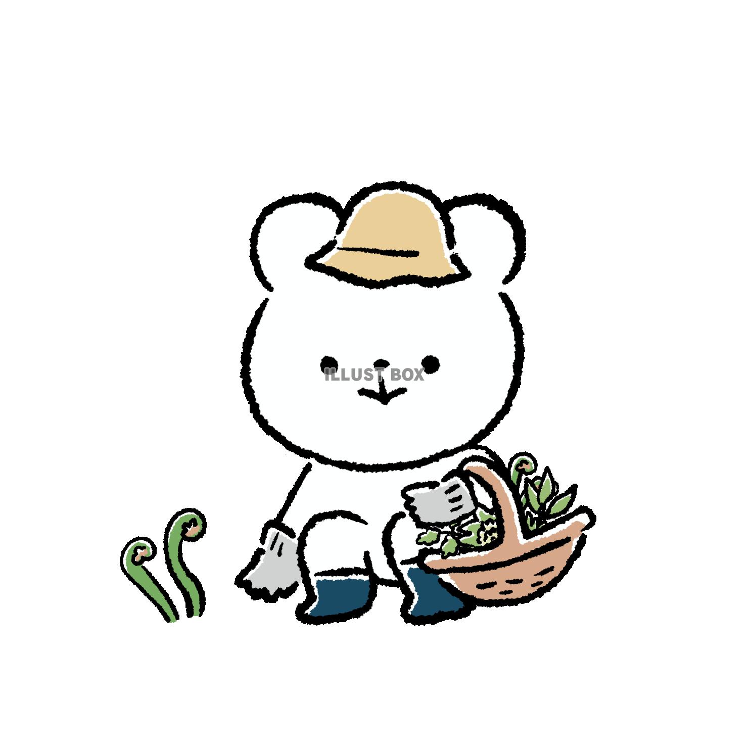 山菜をとるくま