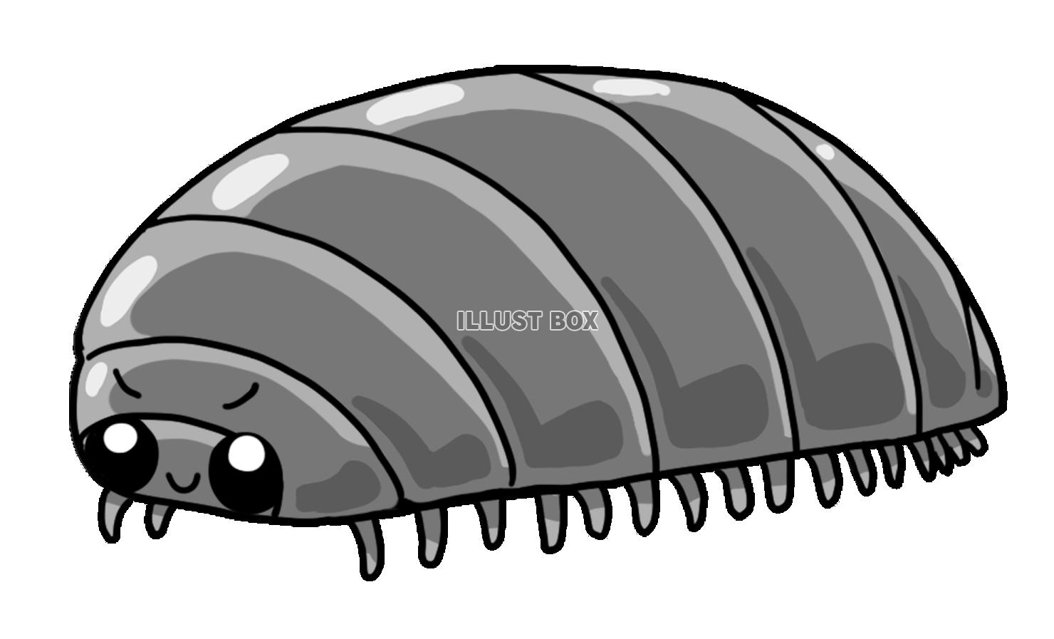 昆虫　ダンゴムシ　