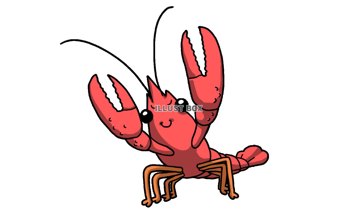 ザリガニの手描き風イラスト