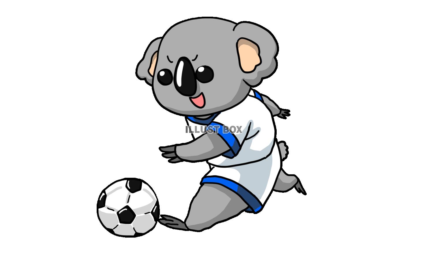 サッカーをするコアラ