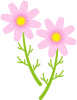 コスモスの花