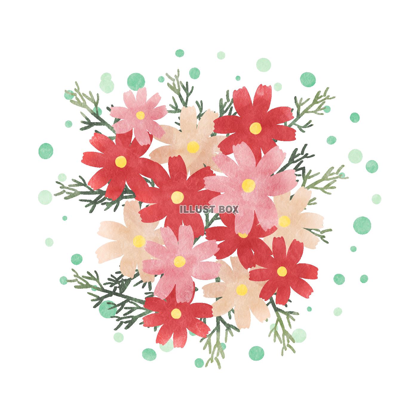 コスモスの花