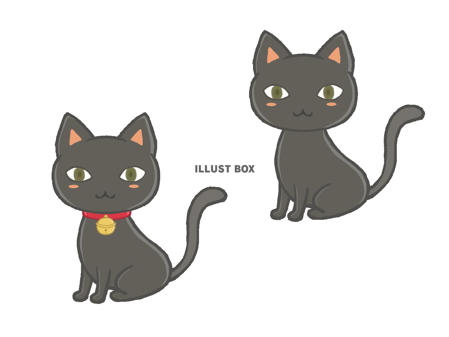 かわいい黒猫　首輪ありなし