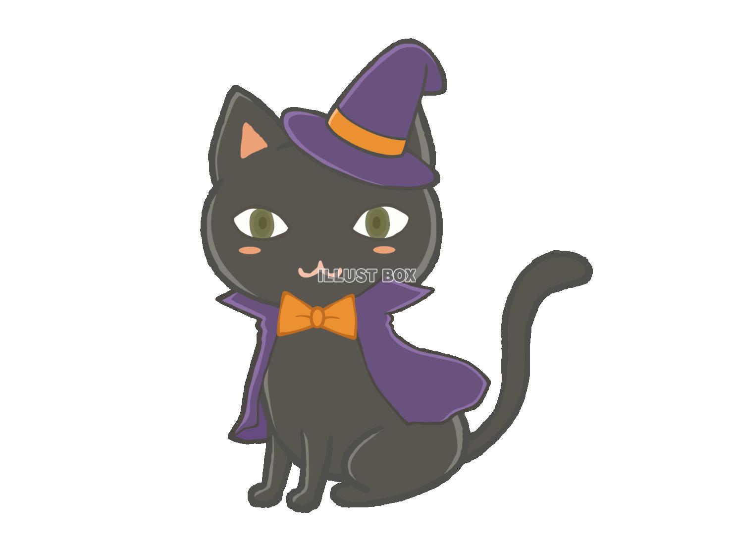 ハロウィンの衣装を着た猫
