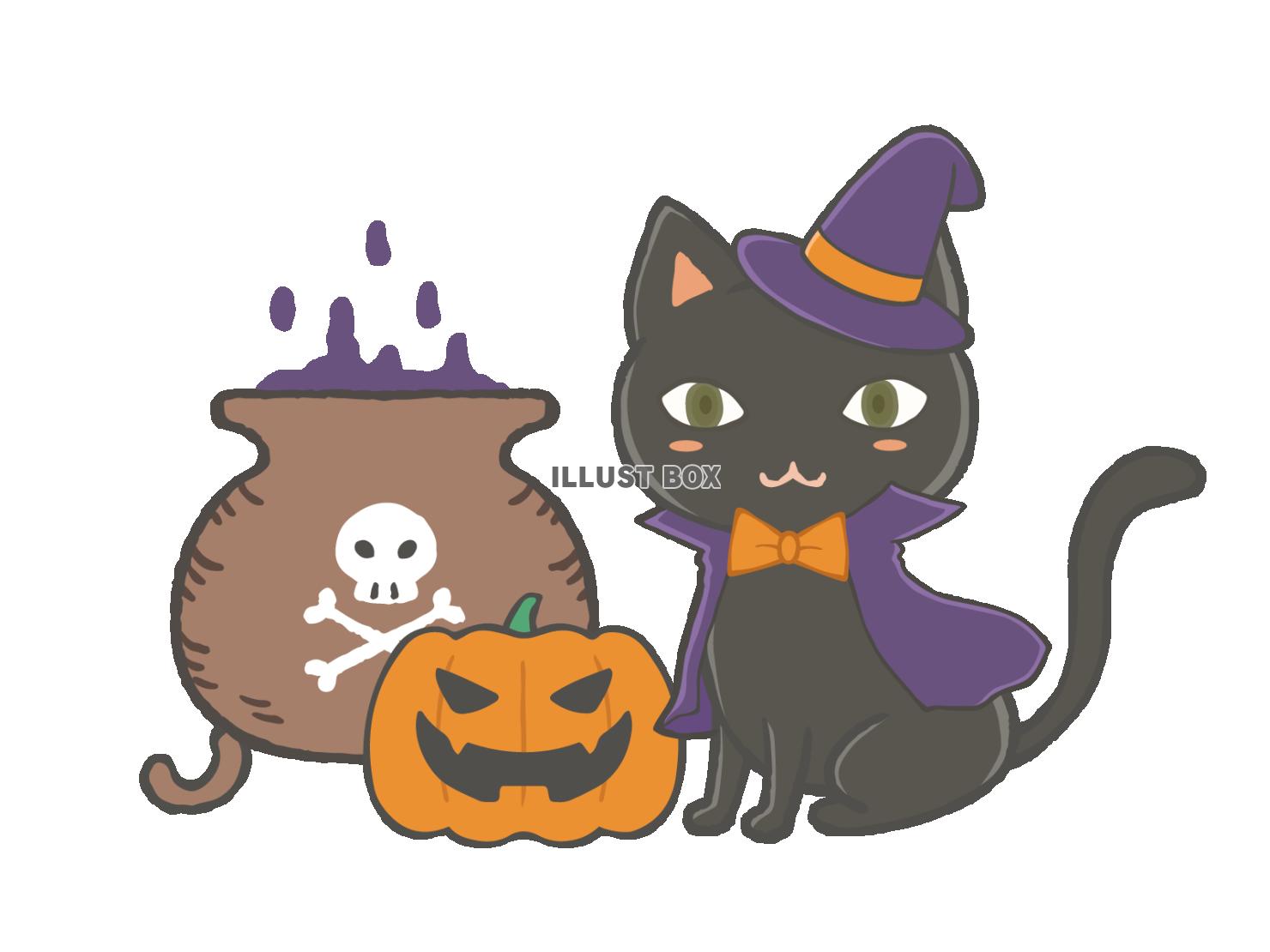 ハロウィン小物と仮装した黒猫