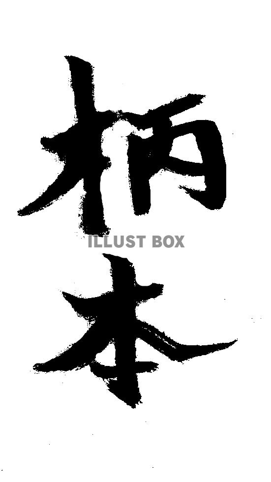素材「柄本」