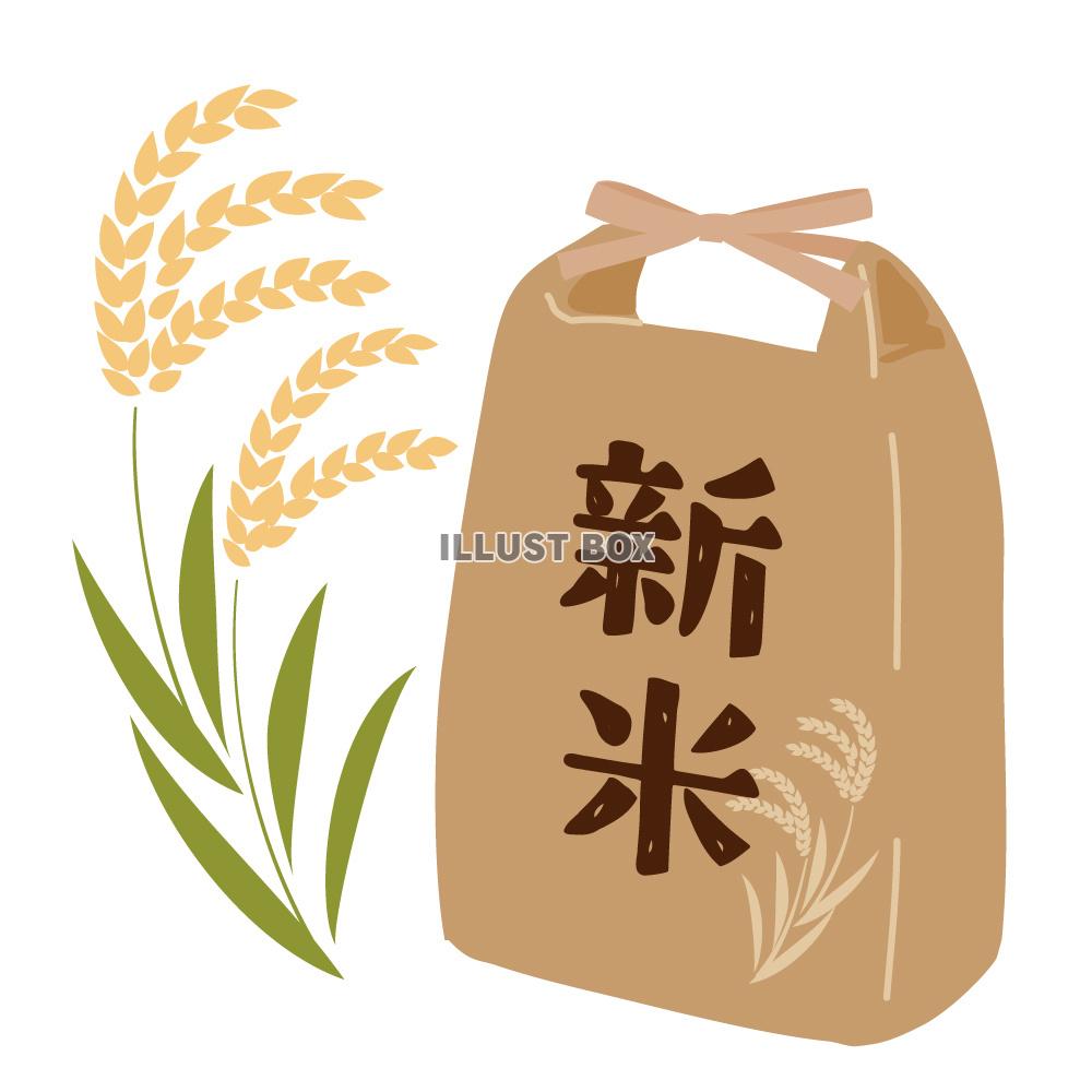 新米と稲穂