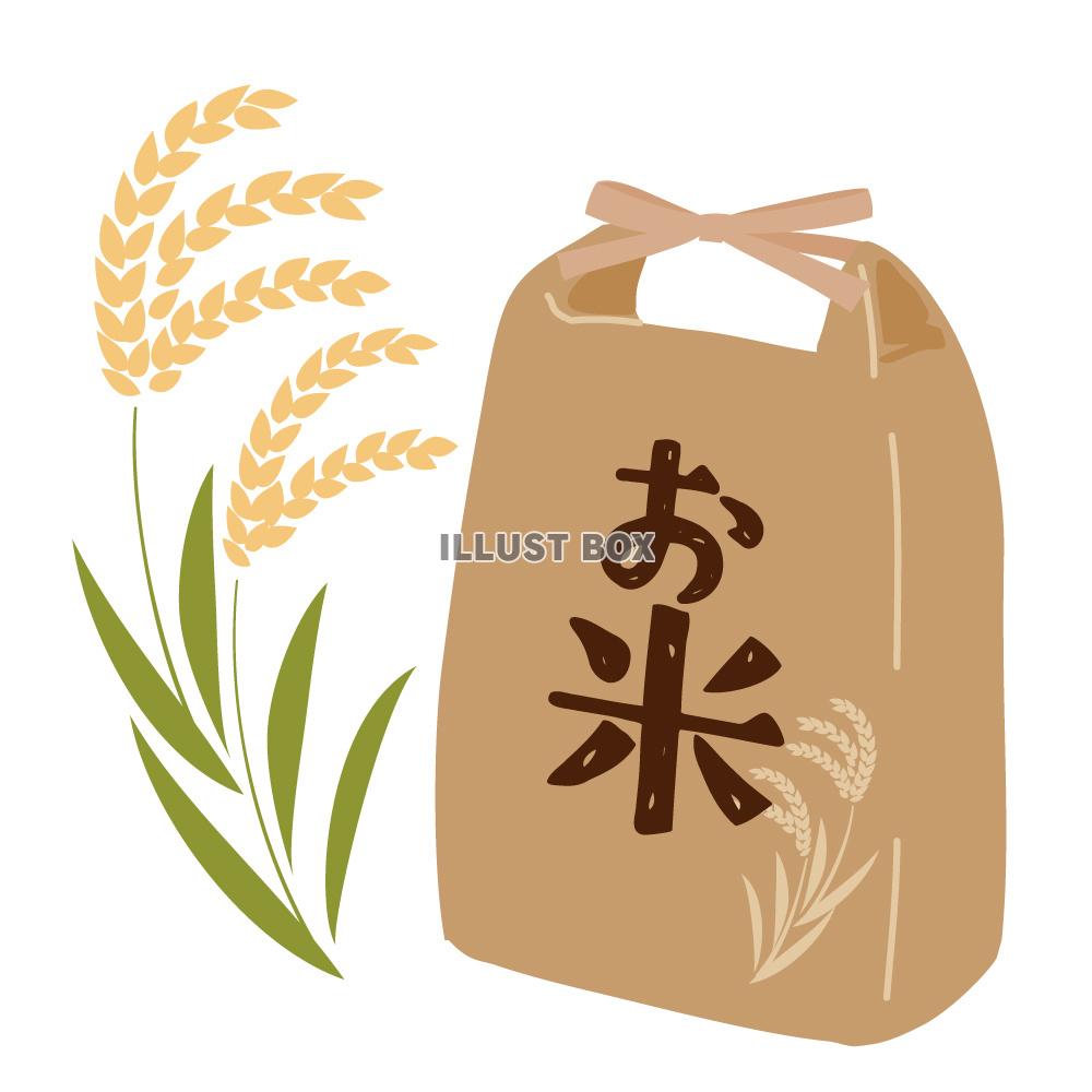 お米と稲穂