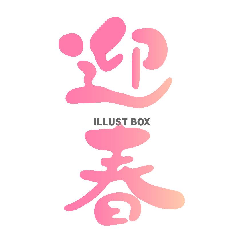 迎春　ピンク