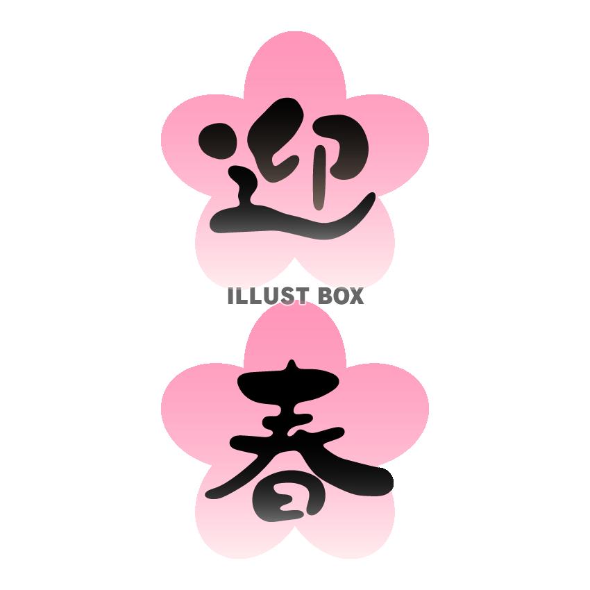 迎春　花