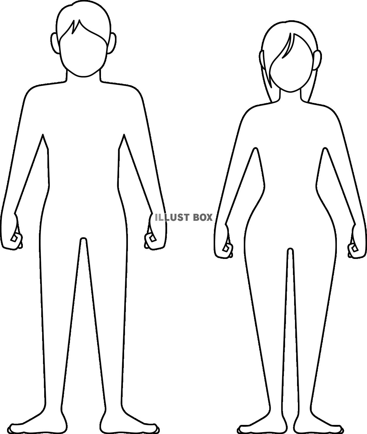人間の男女の身体アウトライン