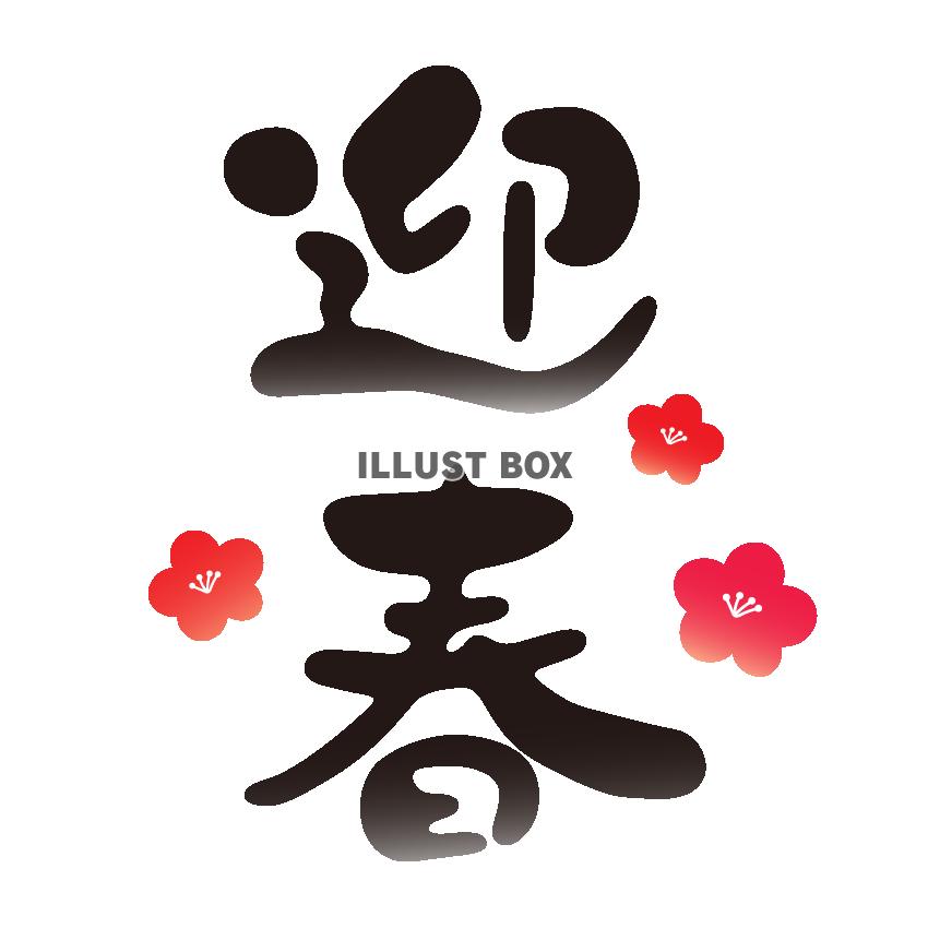 迎春　梅の花