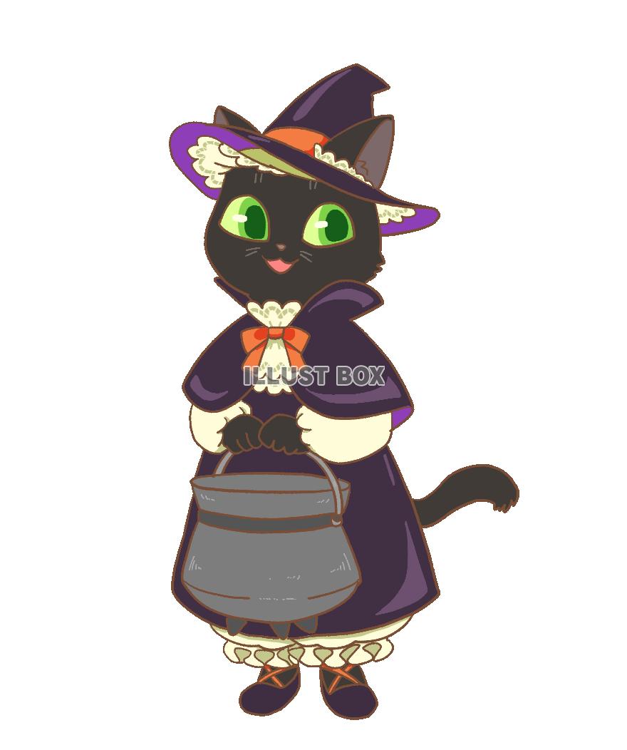 魔女猫