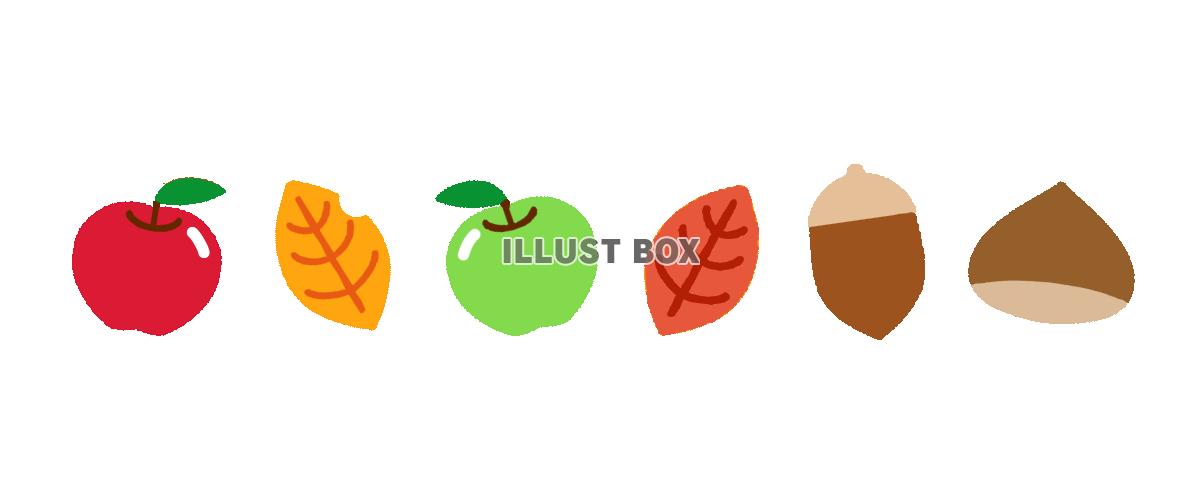 秋の果物ライン　透過png