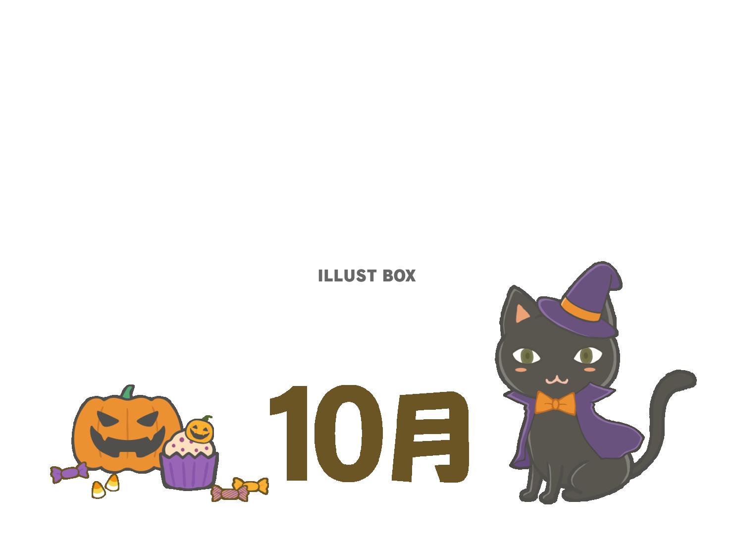 10月 ハロウィン仕様の猫とアイテム