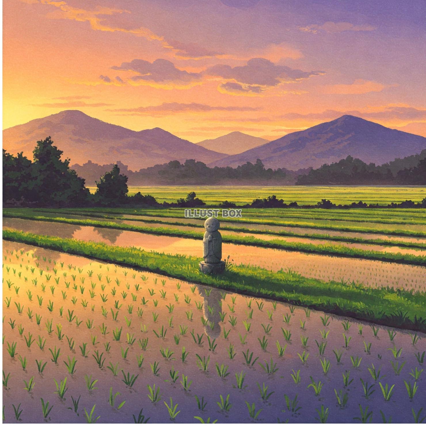 夕焼けに染まるたんぼの田園風景とお地蔵さまの美しい日本の原風...
