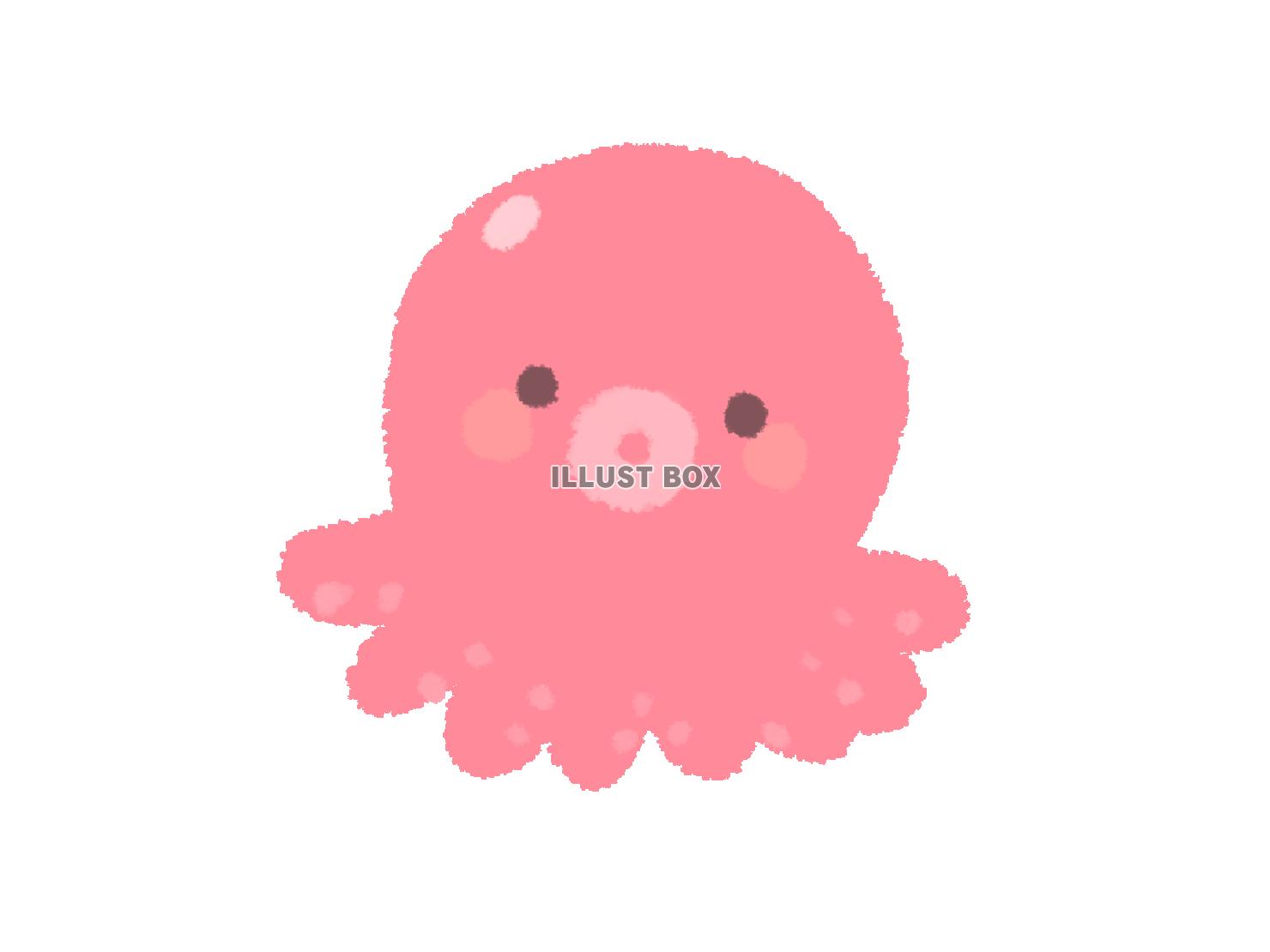 かわいいたこ