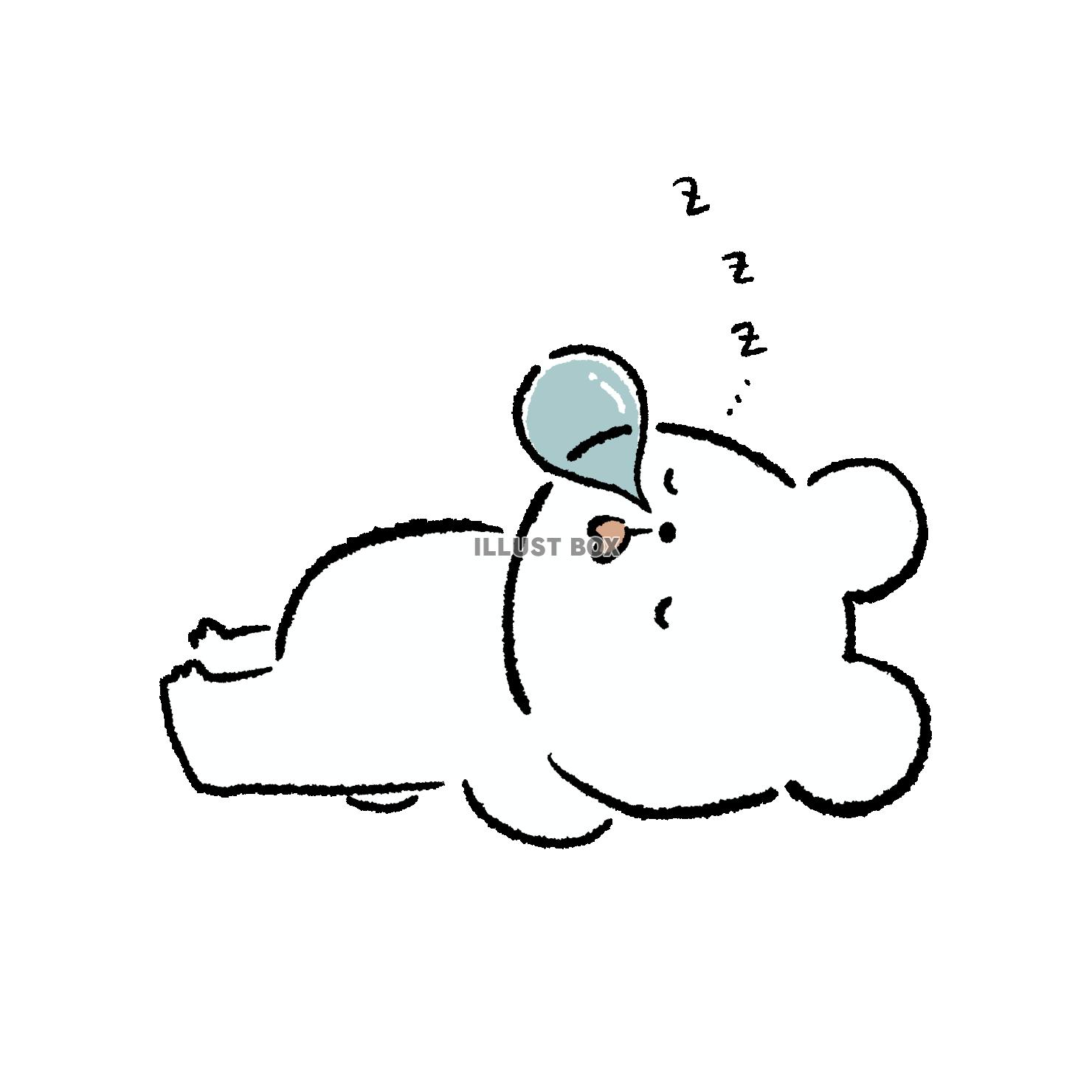爆睡するくま