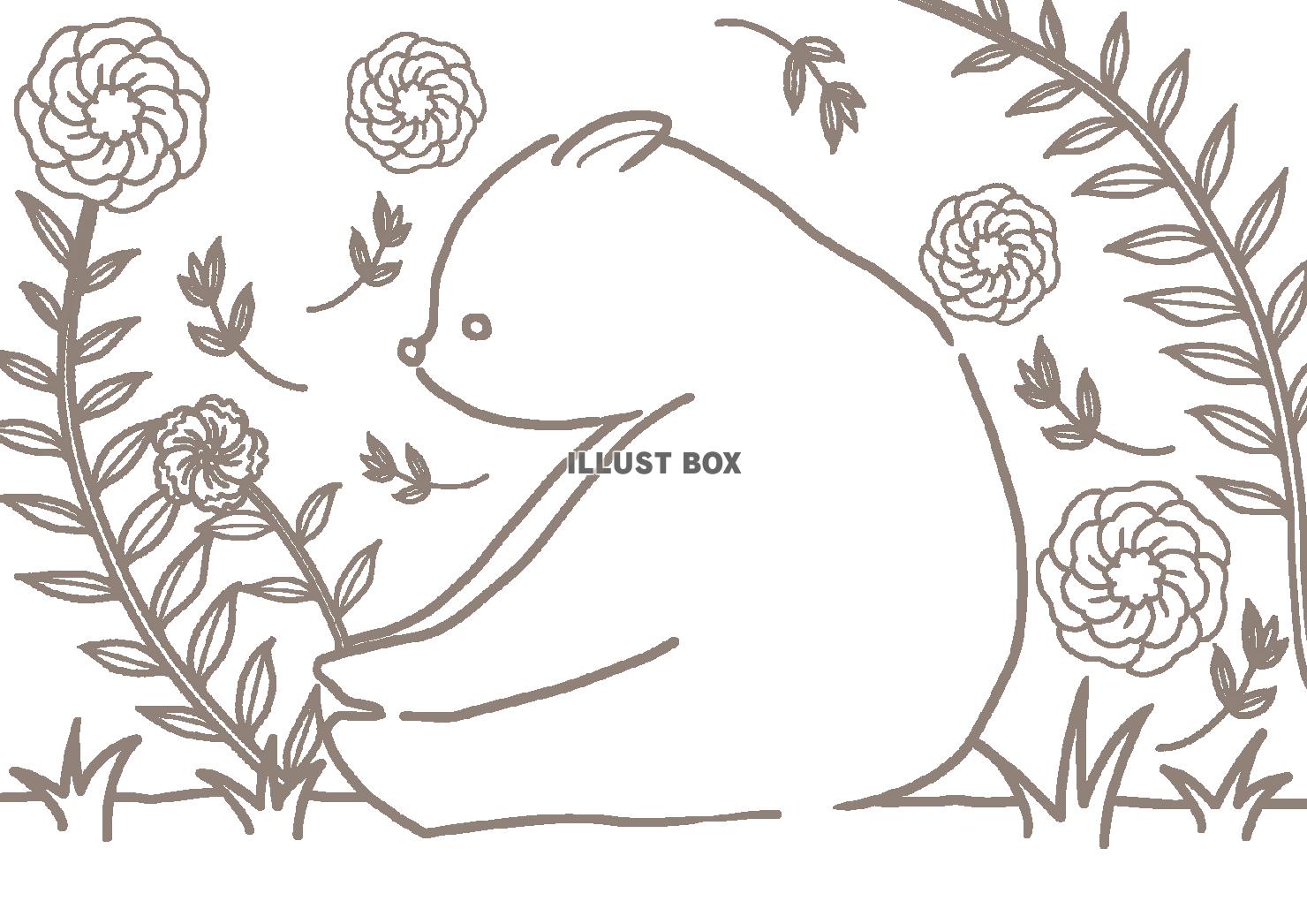 花とクマのぬりえ