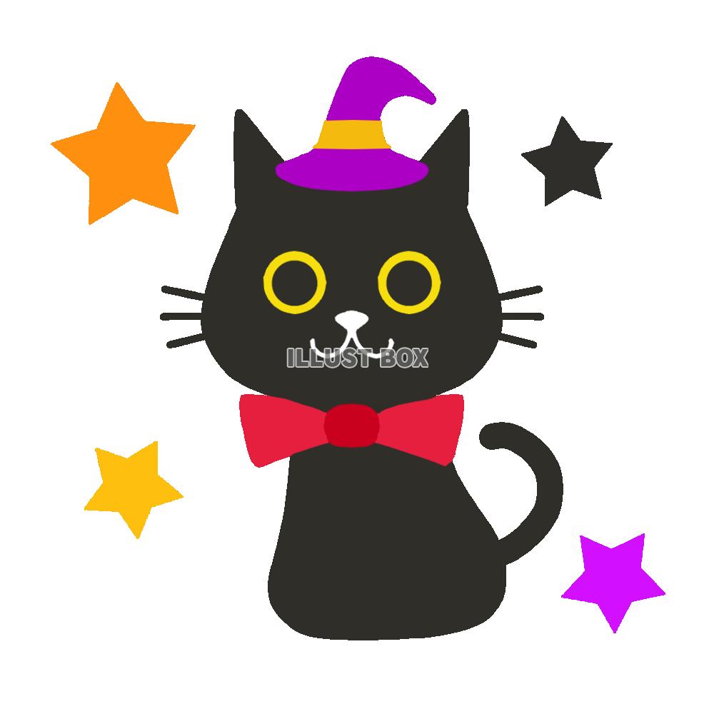ハロウィン黒猫　透過png
