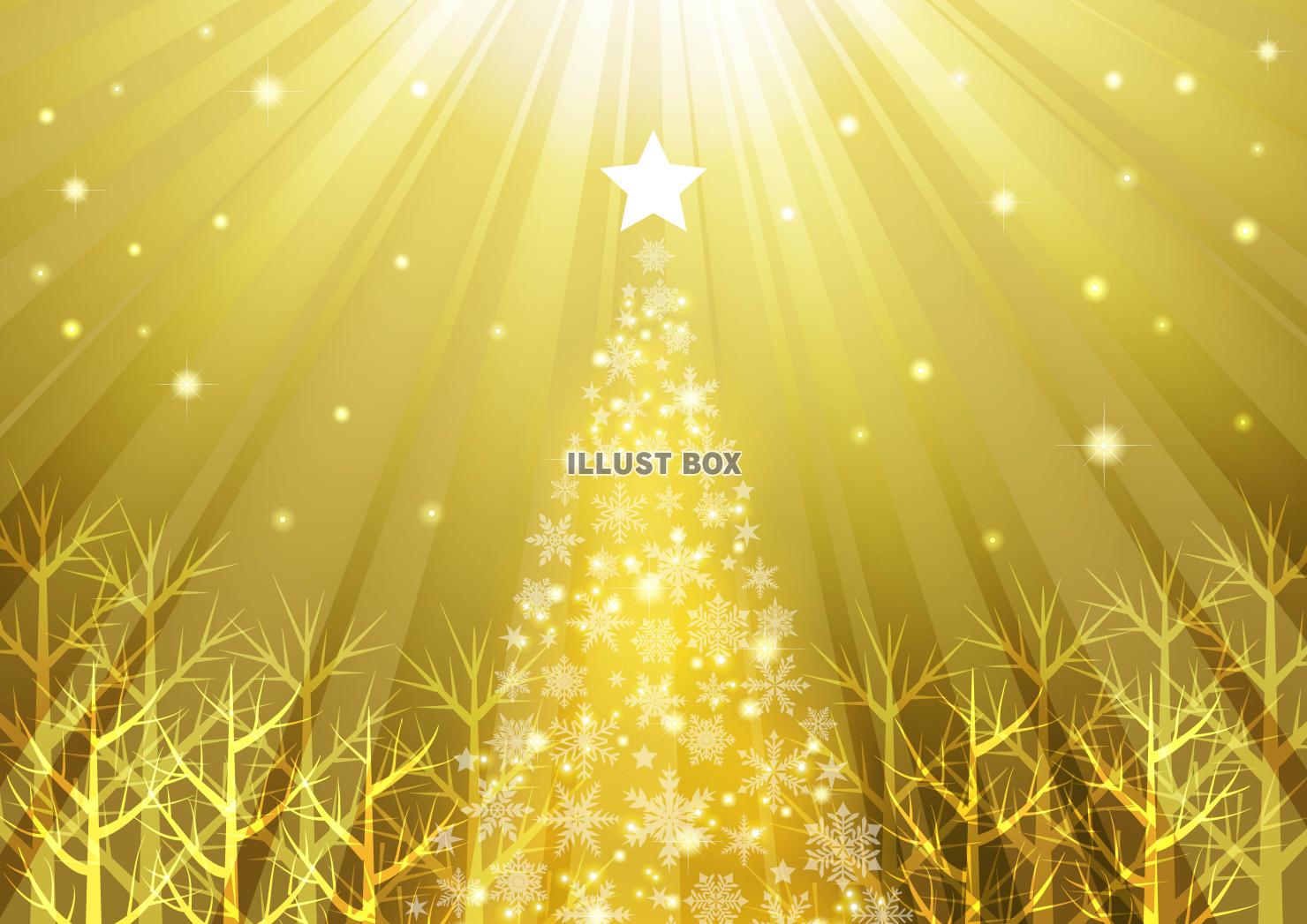 クリスマスツリーの森・金・横