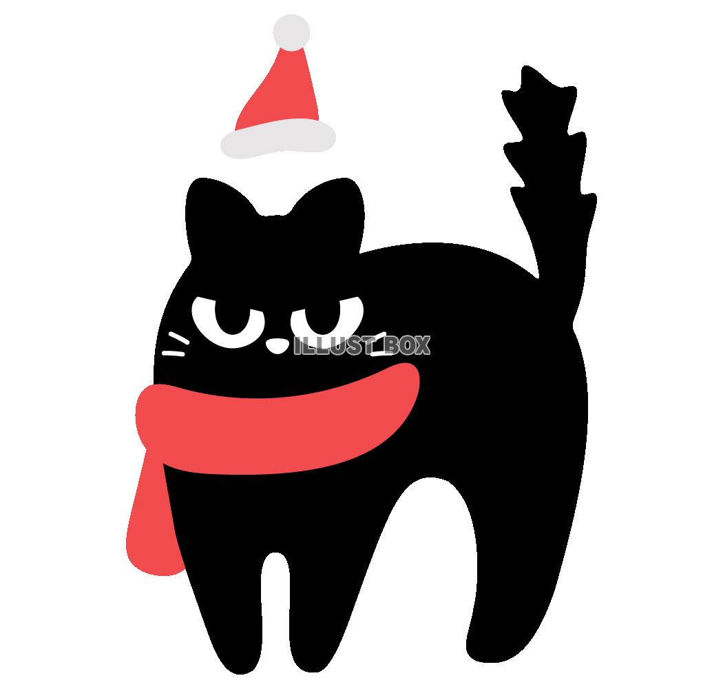 怒る黒猫とサンタ帽子