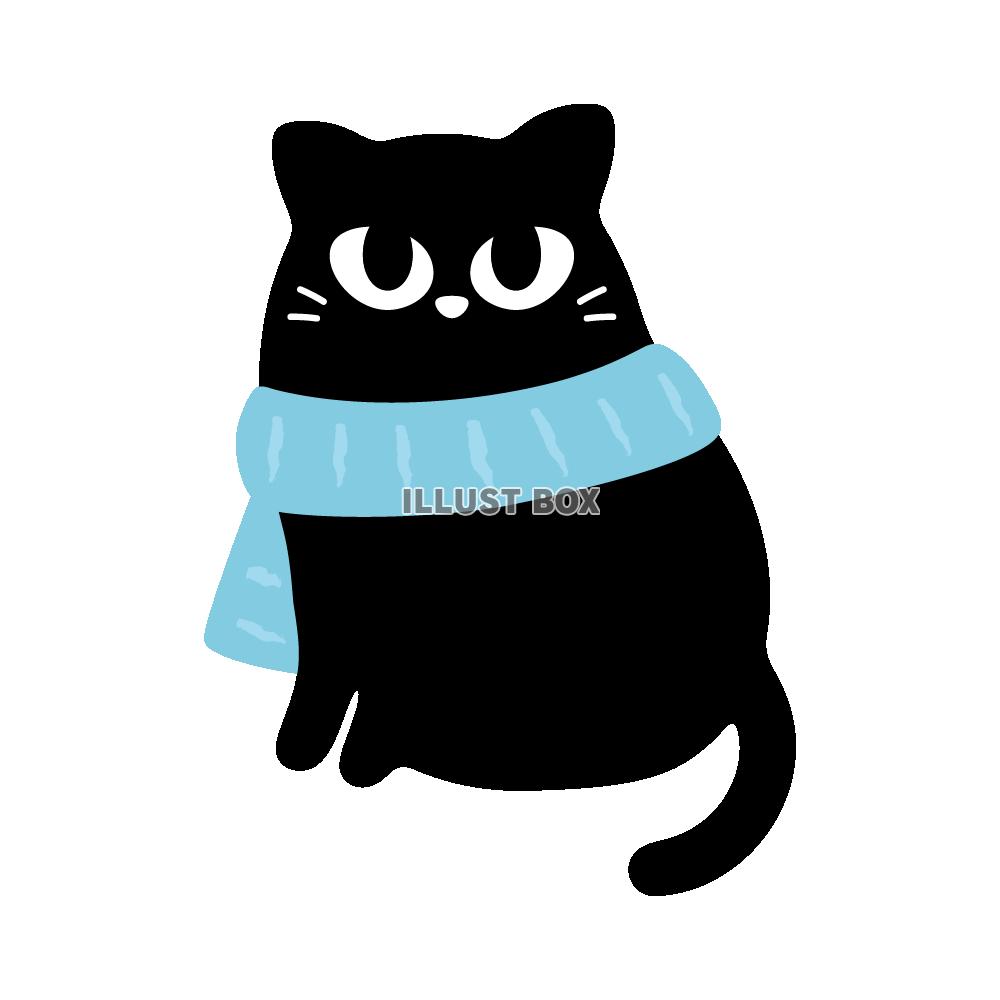 水色のマフラーを巻いた黒猫