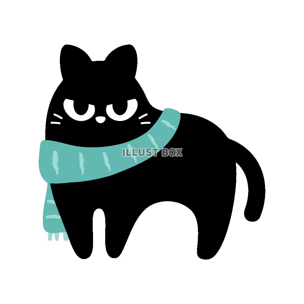 マフラーを巻いた黒猫