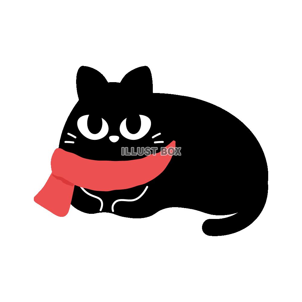 赤いマフラーを巻いた黒猫