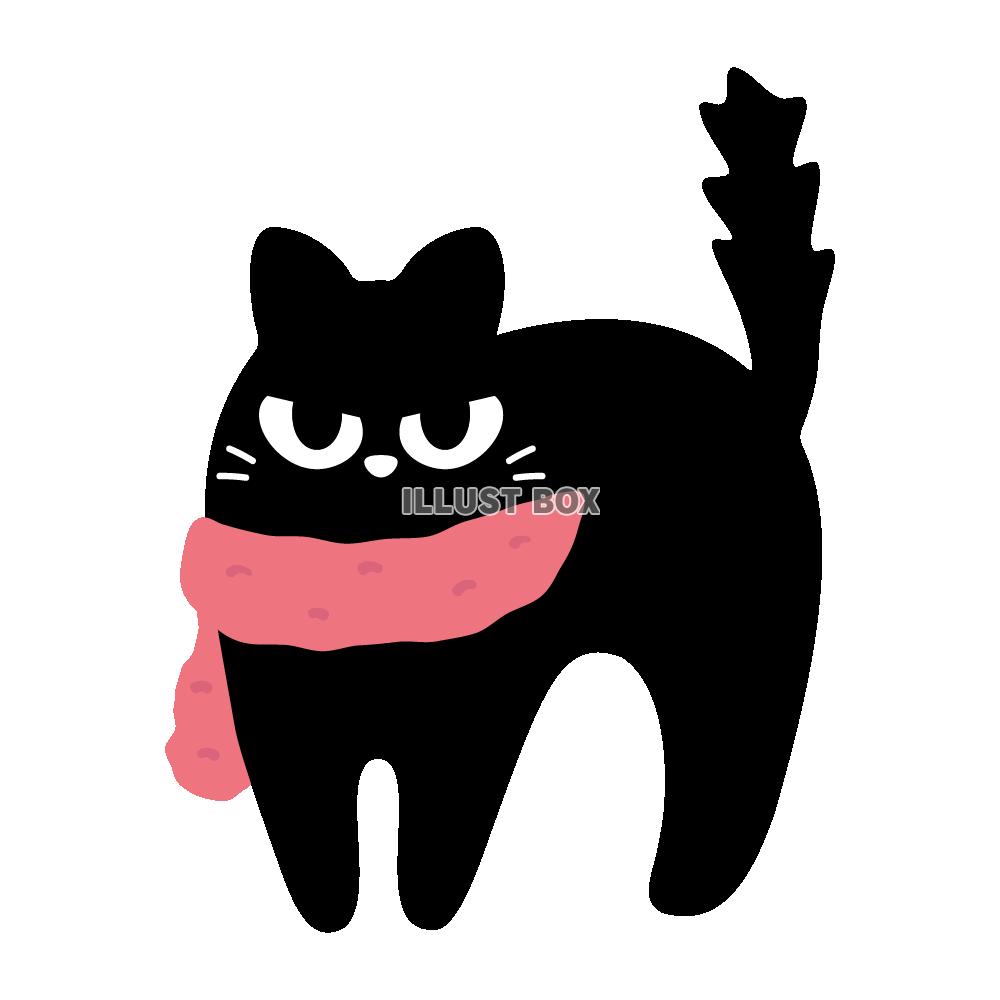 マフラーを巻いた怒る黒猫