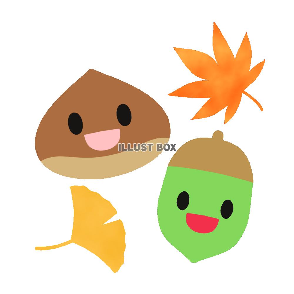 栗とどんぐり 透過png